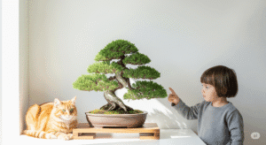 Juniper Bonsai Toxicity: Is It Safe for Pets and Children?